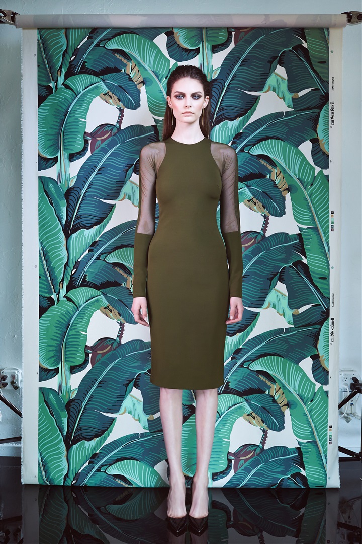 Cushnie et Ochs 2015 Resort