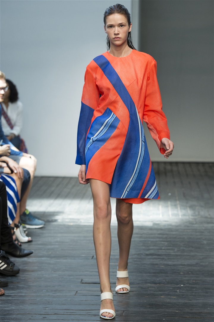 Dion Lee 2015 İlkbahar/Yaz