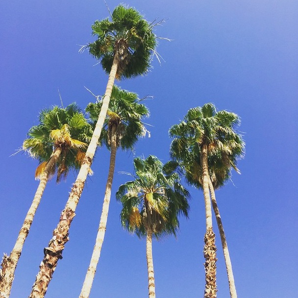 Instagram Takibi: Cruise 2016