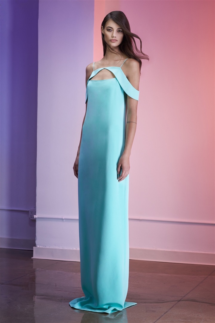 Cushnie et Ochs 2016 Resort