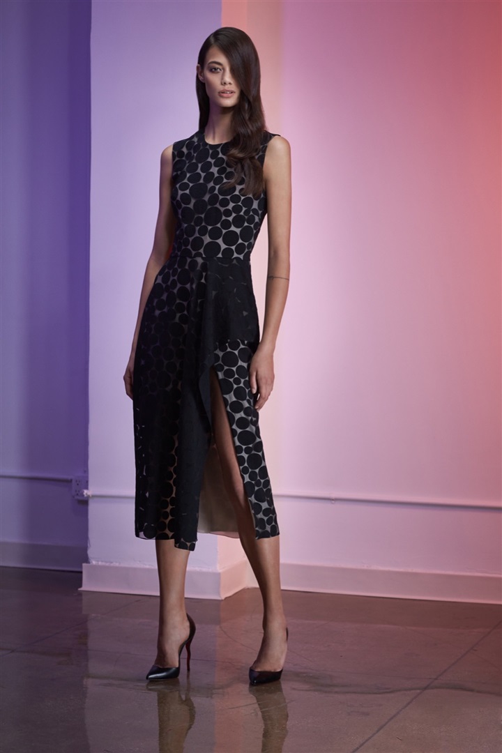 Cushnie et Ochs 2016 Resort