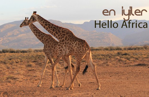 Hello Africa