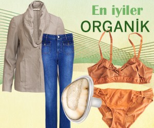 Organik