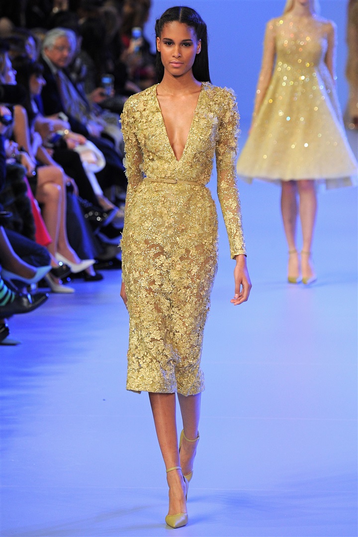 Elie Saab  2014 İlkbahar/Yaz Couture