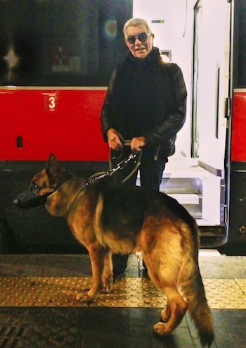 Tasarımcıların Kuyruklu İlham Perileri