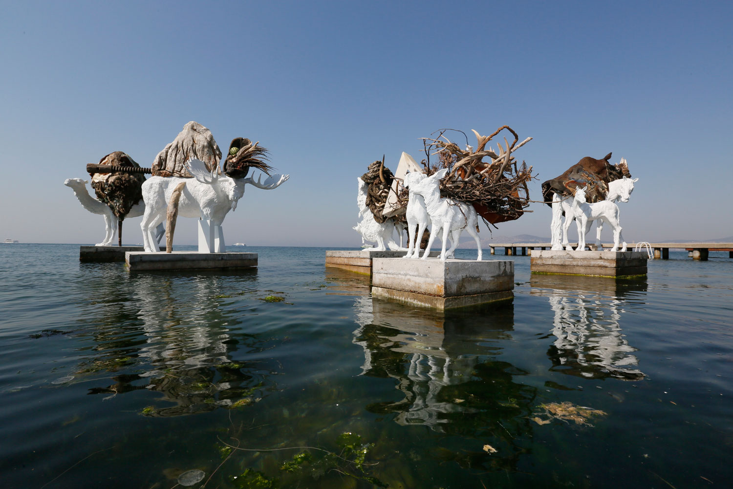 Rota: Büyükada