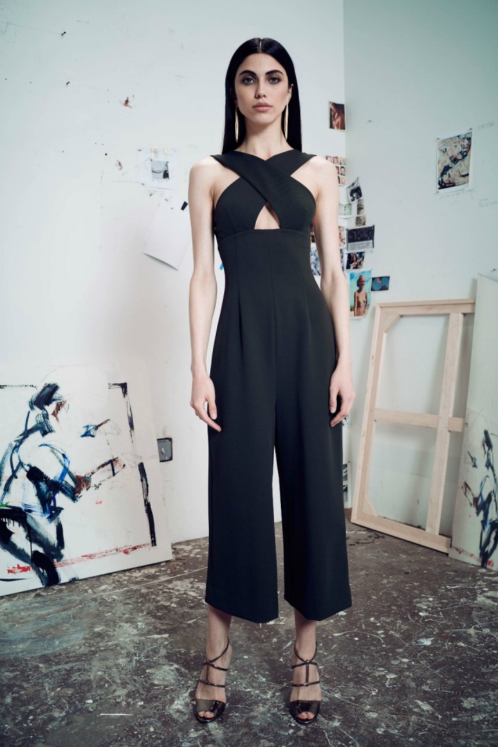 Cushnie et Ochs 2017 Resort