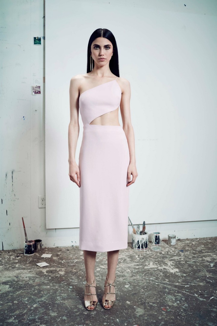 Cushnie et Ochs 2017 Resort