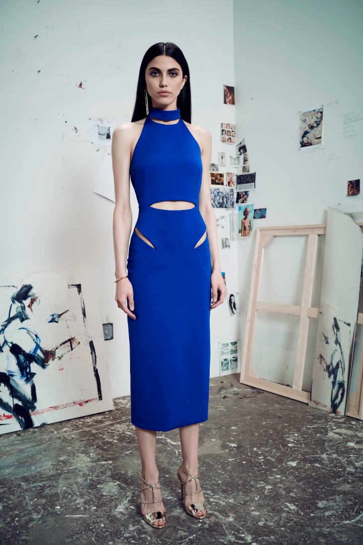 Cushnie et Ochs 2017 Resort