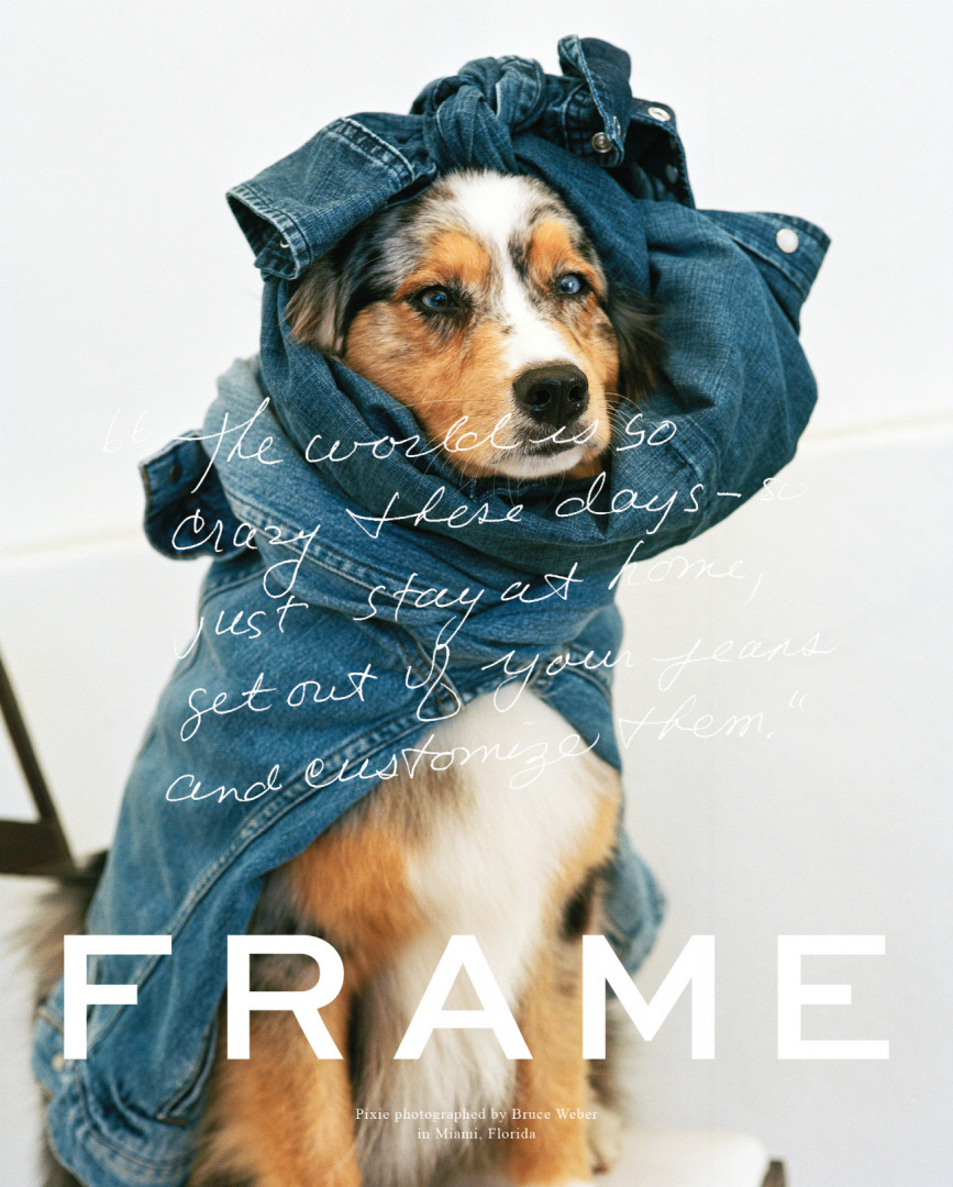 Frame