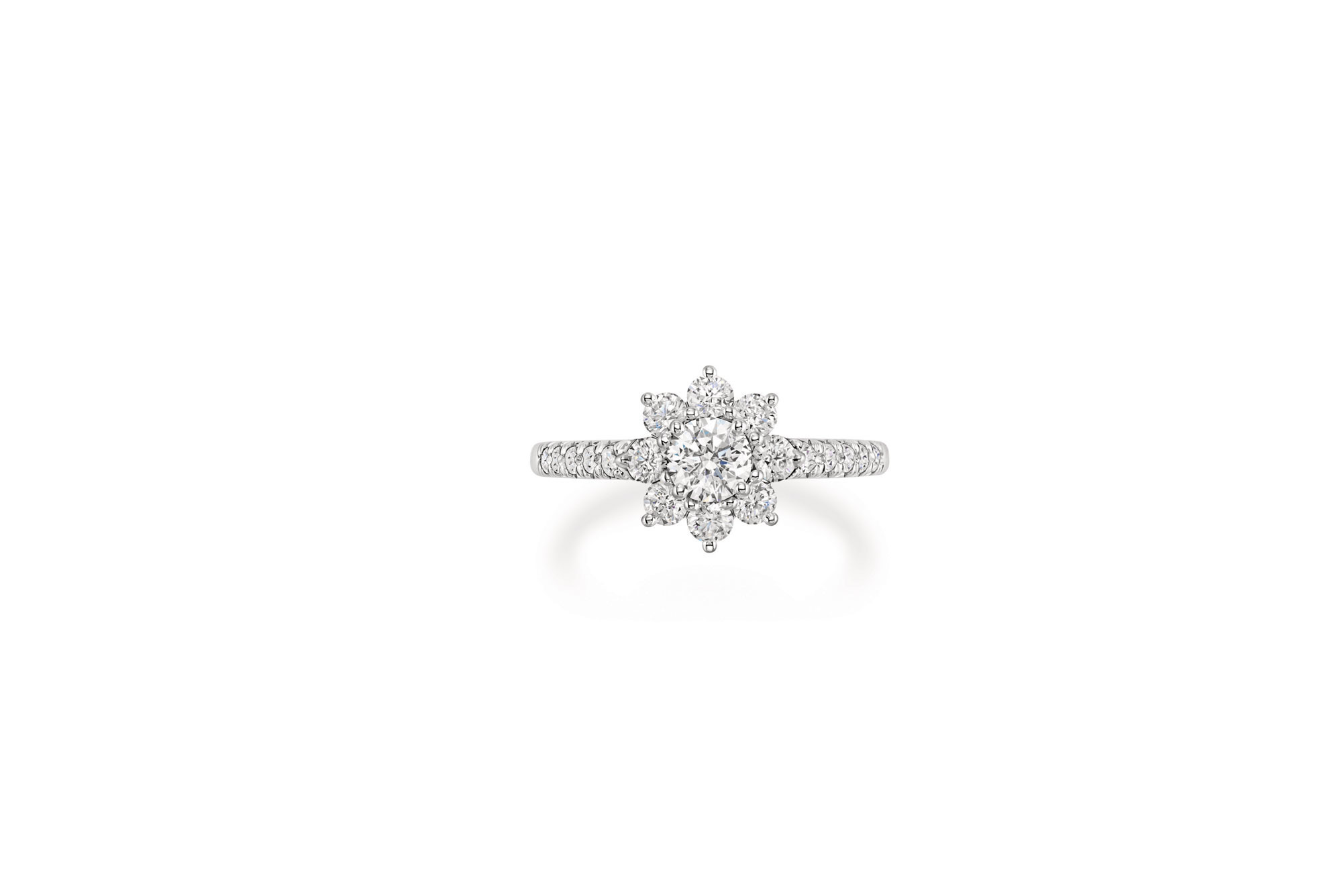 Harry Winston Sunflower Koleksiyonu