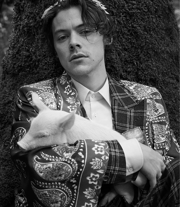 Gucci Tailoring Harry Styles