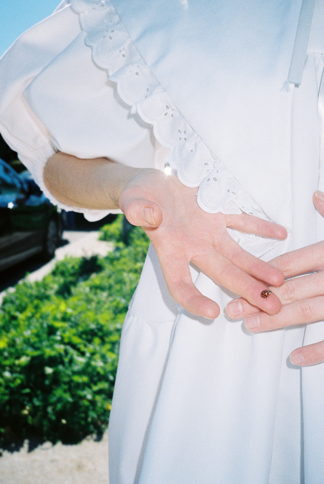 Karantinadan Fotoğraf Günlükleri: Miriam Marlene Waldner