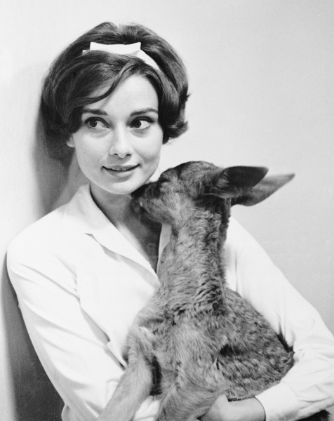 Güzellik İkonu: Audrey Hepburn