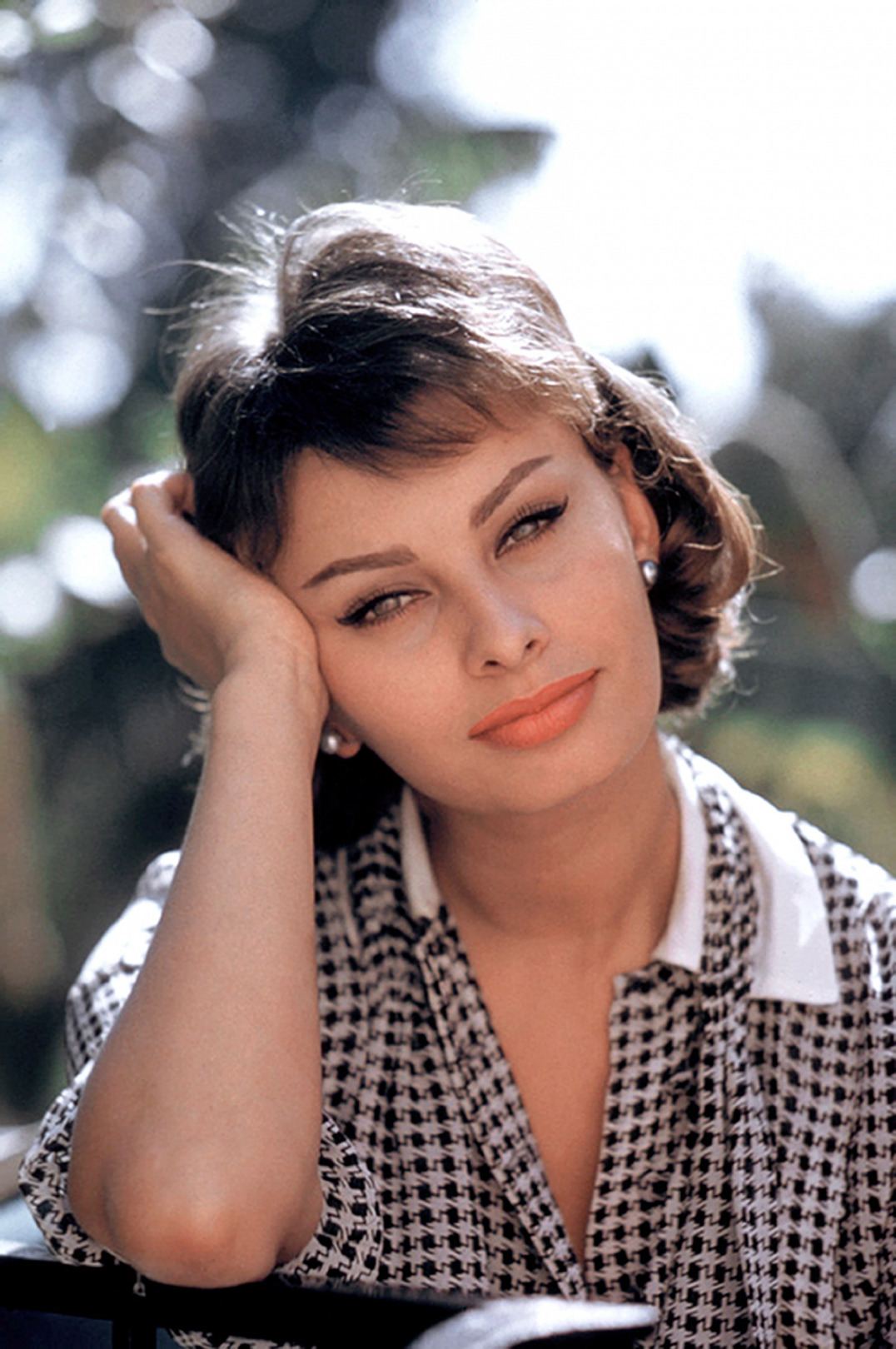 Sophia Loren