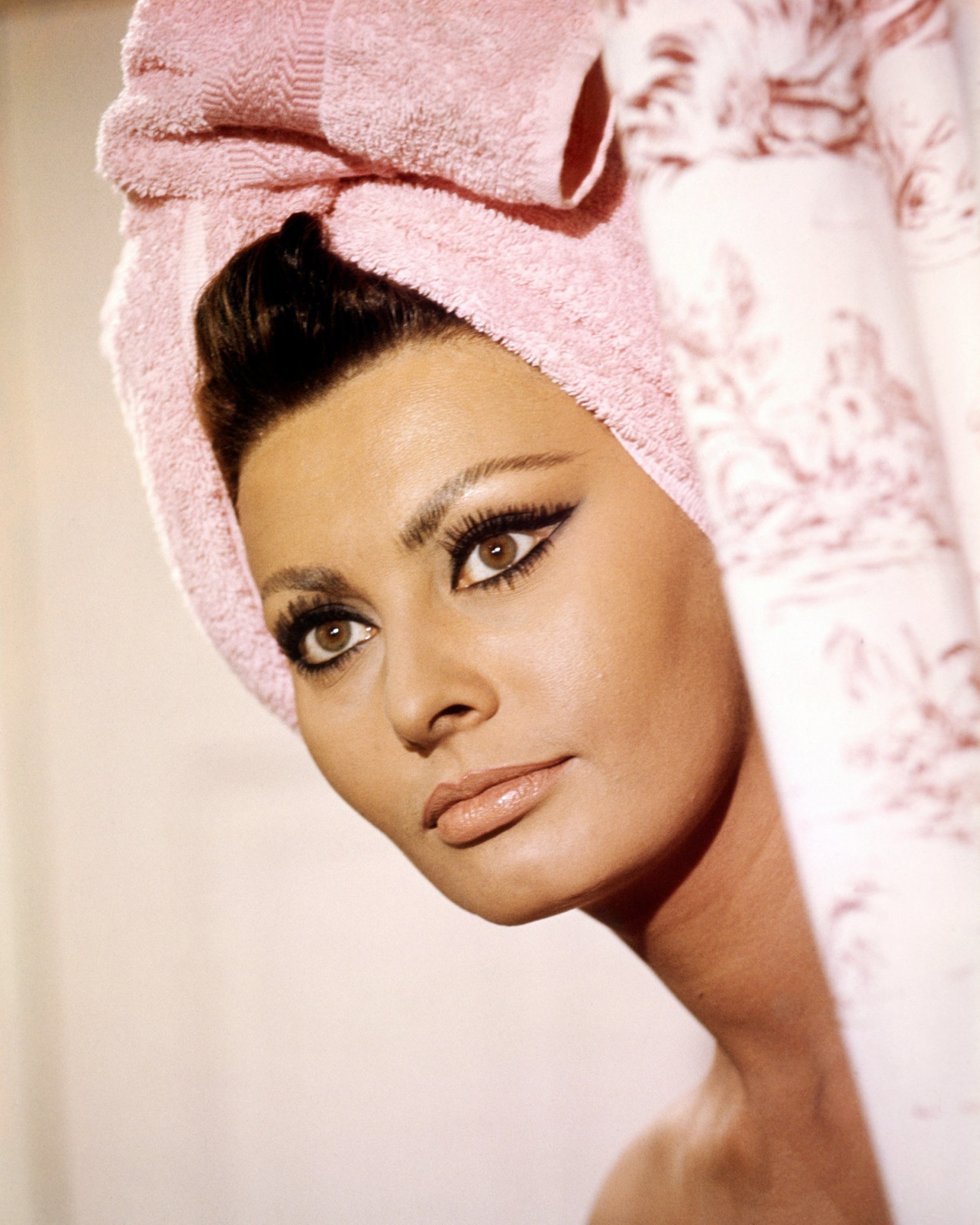 Sophia Loren