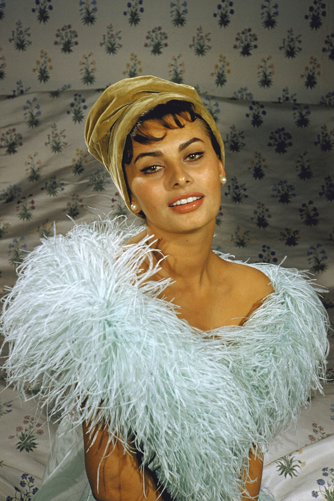 Sophia Loren