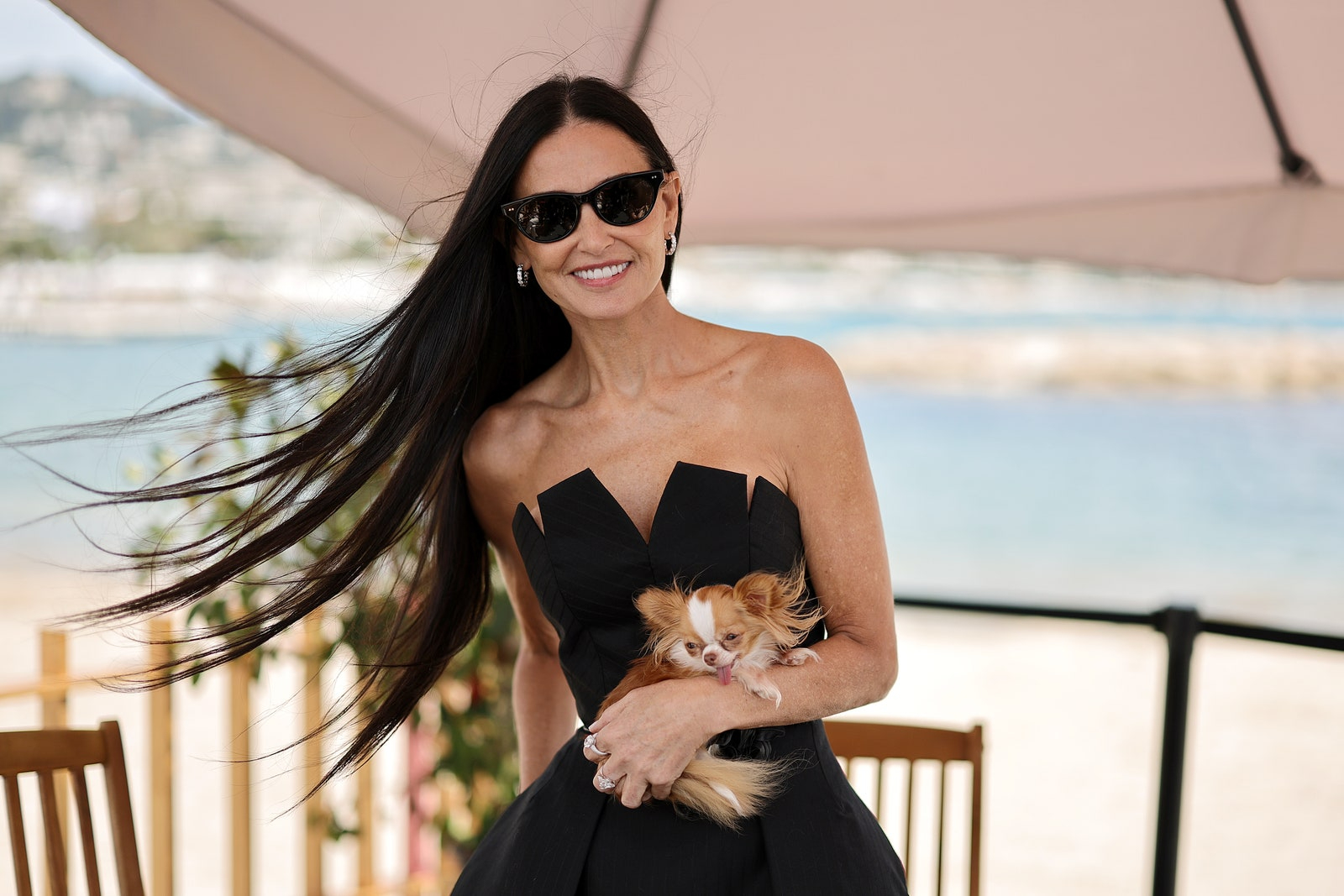 Demi Moore'un Mikro Chihuahua’sı Pilaf, Büyük Bir Yıldız Olmak İçin Doğdu