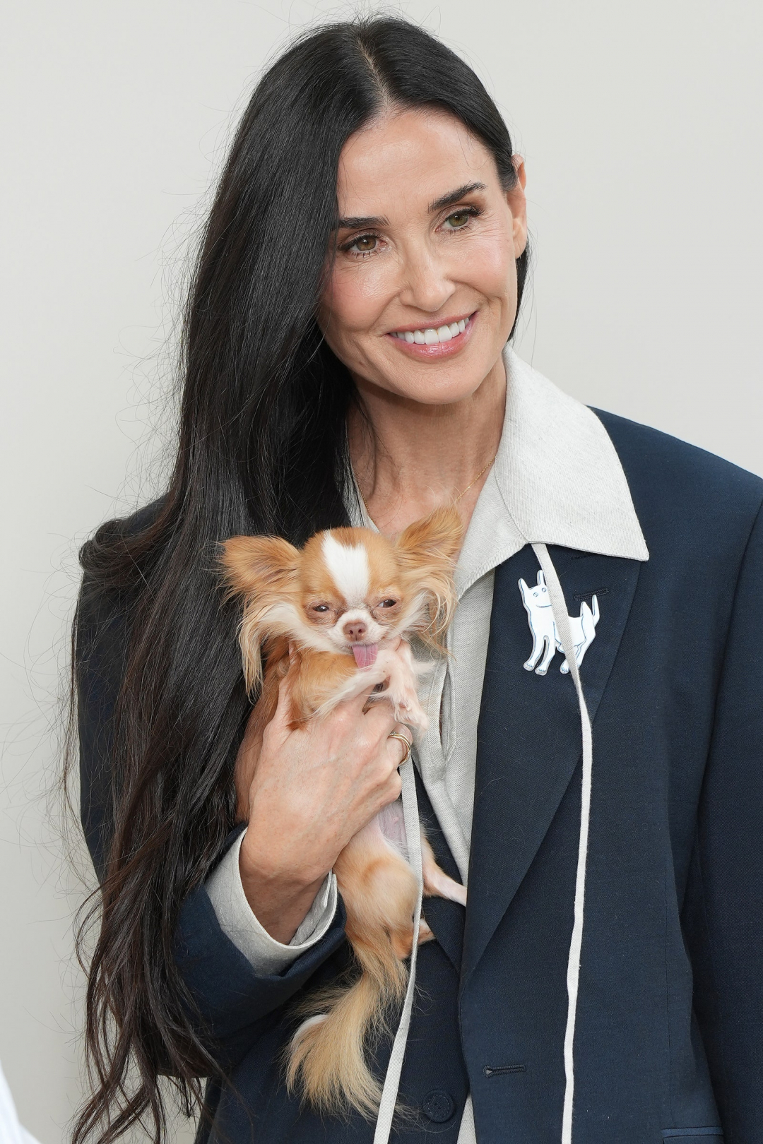 Demi Moore'un Mikro Chihuahua’sı Pilaf, Büyük Bir Yıldız Olmak İçin Doğdu