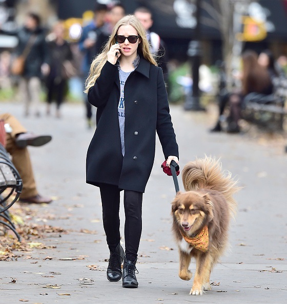 Amanda Seyfried